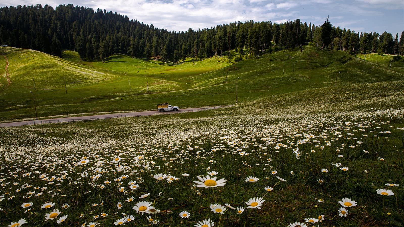 Gulmarg alpine meadow wilderness setting
