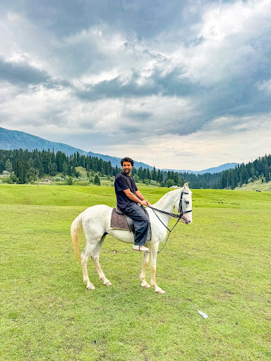 Gulmarg alpine meadows for horse and pony riding