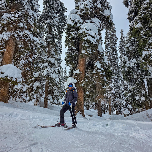 Advanced freeride skiing on Mount Apharwat